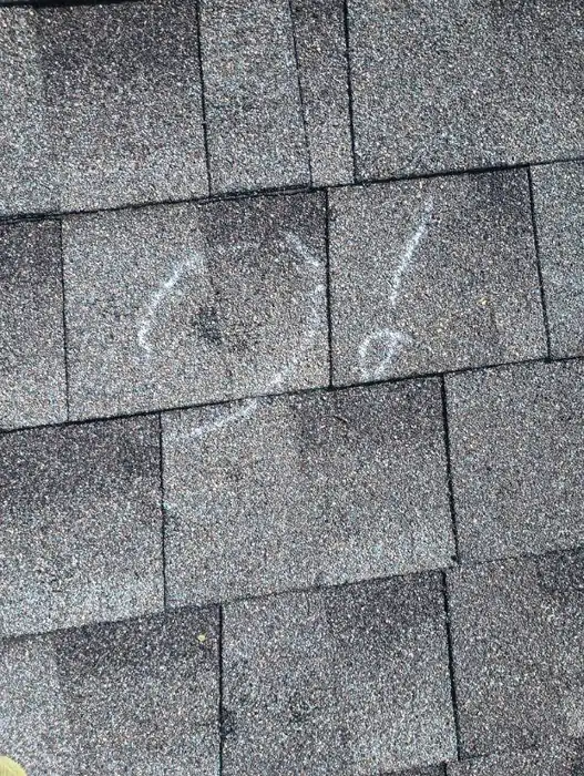 Two chalk-circled hail bruises on a weathered gray shingle roof, close up