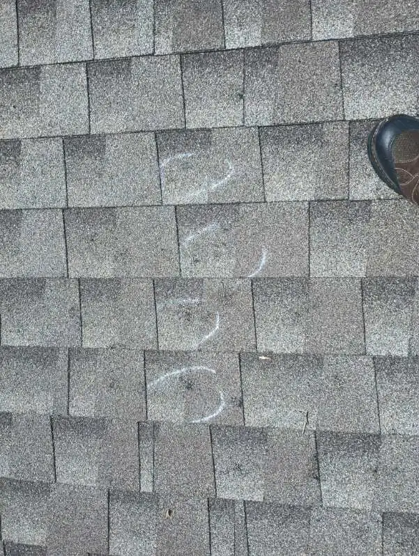 Hail strikes on gray shingles ringed in white chalk during a roof inspection