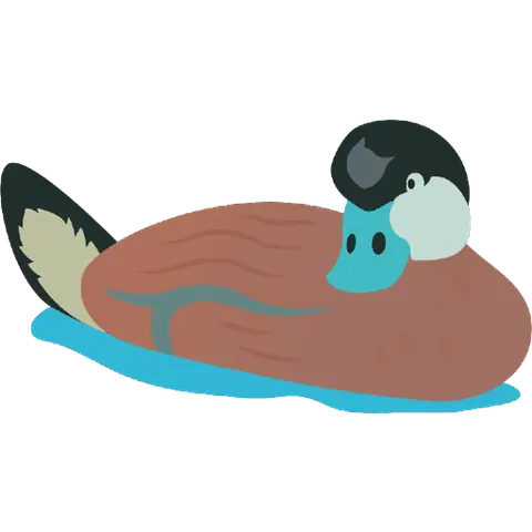 Standalone illustrated ruddy duck mark with a blue bill on cyan water