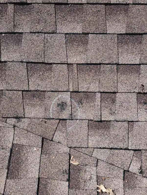 Lifted and creased shingle tabs with a hail bruise on a weathered roof