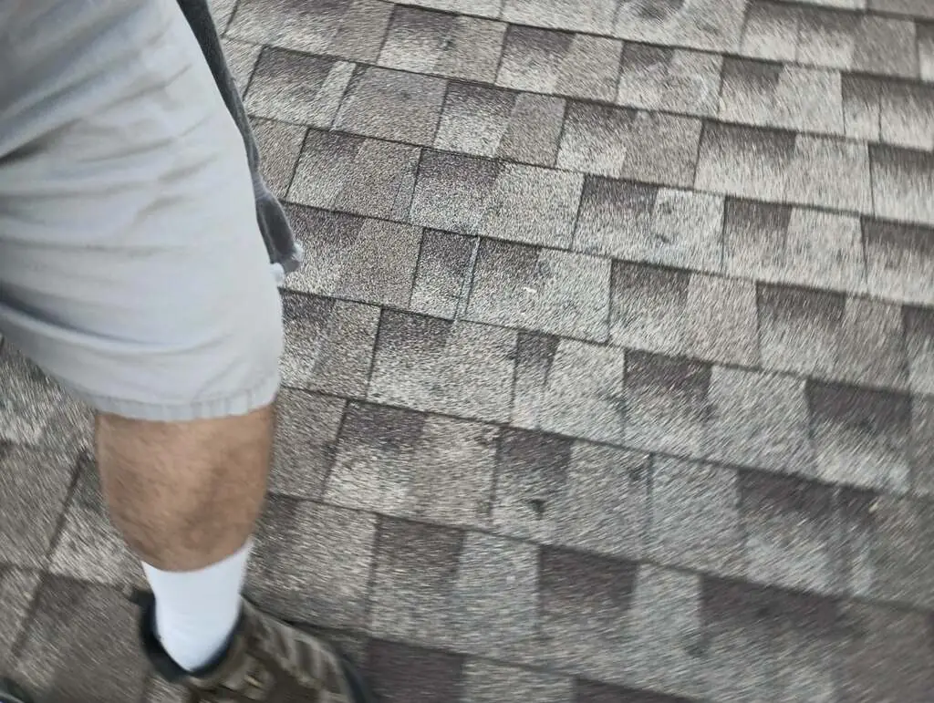 Bare granule loss across gray shingles beside an inspector's legs and shoe